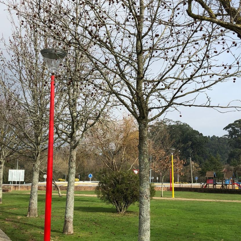 báculo personalizado